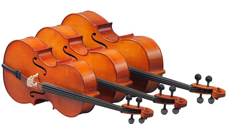 Geige spielen lernen in der Yamaha Musikschule in Wien